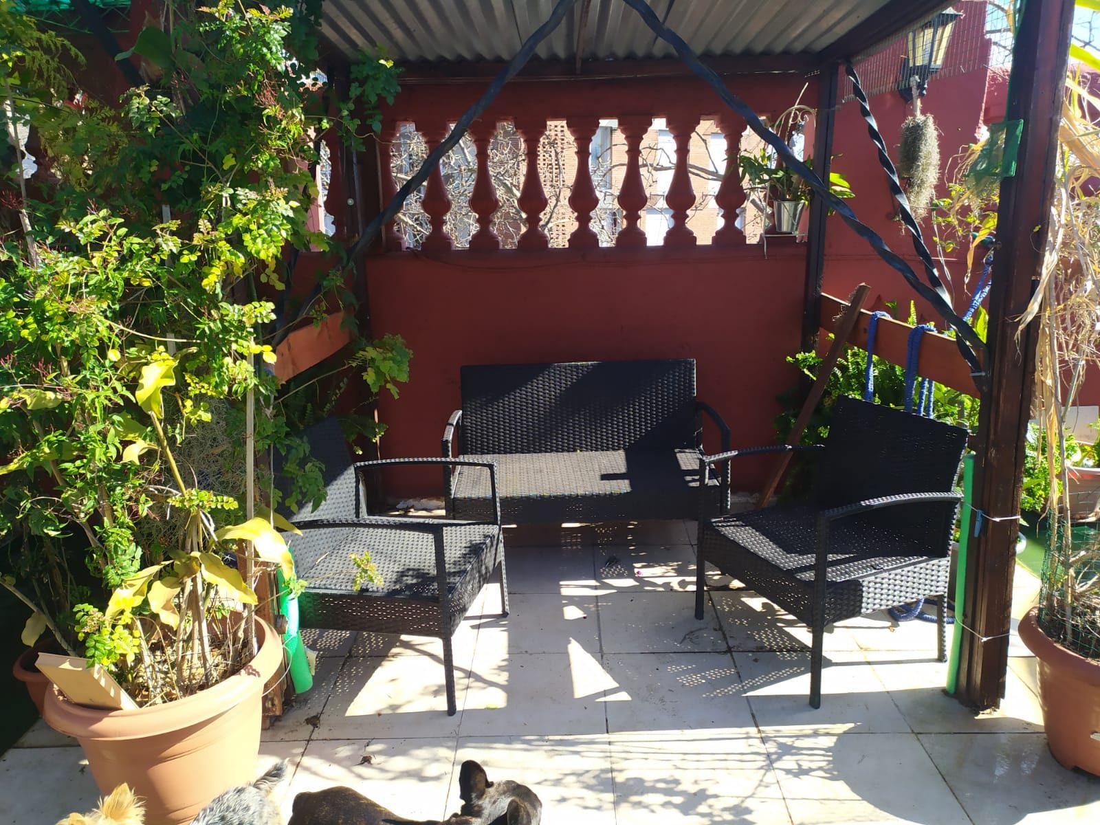 Unica casa estilo,7 dormitorios, sbre avda.cerca Pcio.Leg — foto 1