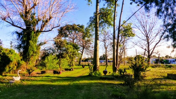 Terreno 1500 Mts, con 3 propiedades, ideal para edificar o Renta